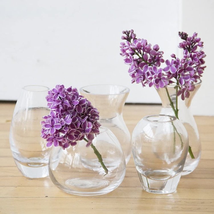 Chive Mini Clear Glass 'George' Vase