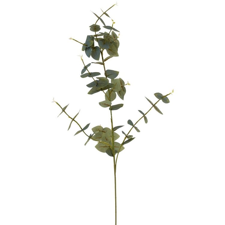 Grand Illusions Eucalyptus Sprig - Frosted or With Berries