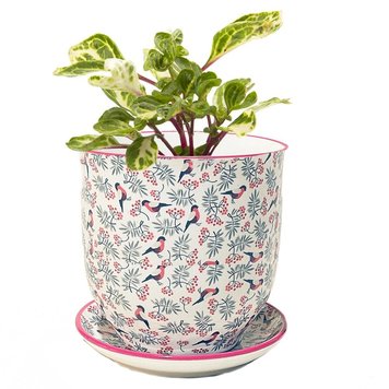 Chive Patterned Pot & Saucer Set