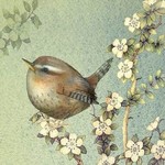 Art Cards - Wildlife & Animals