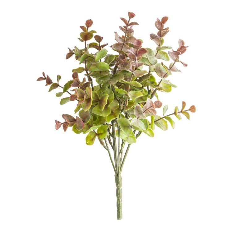 Grand Illusions Small Eucalyptus Spray