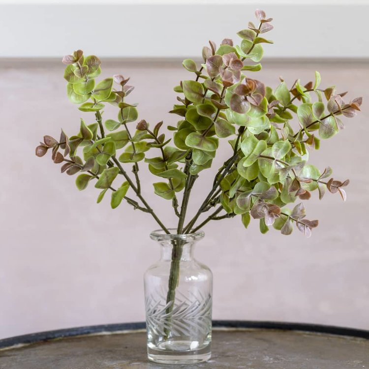 Grand Illusions Small Eucalyptus Spray