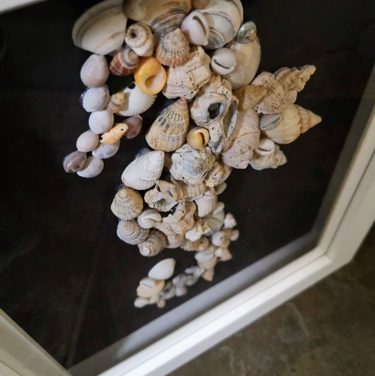 Annie Baxter ‘Studland Seahorse’ Framed Seashells Original