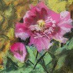 Ginette Boyd