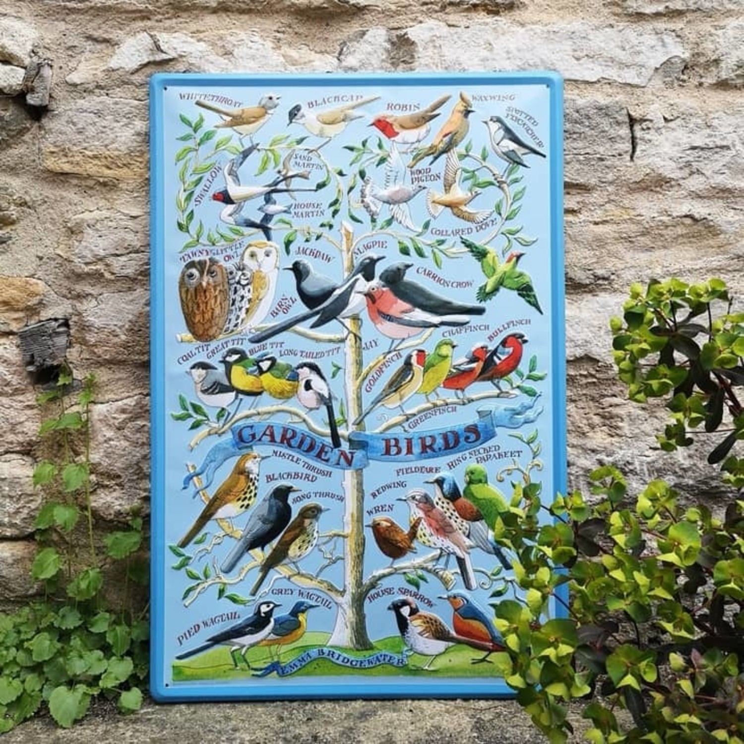 Garden Birds Embossed Metal Sign by Emma Bridgewater Seasons Green