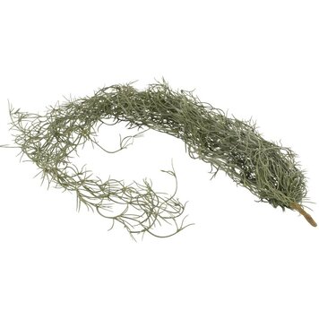 Grand Illusions Faux Trailing Tillandsia