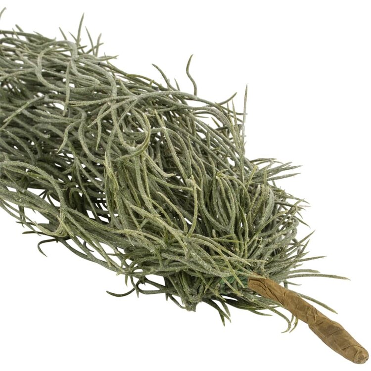 Grand Illusions Faux Trailing Tillandsia