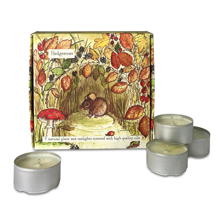 Heaven Scent Boxed Set of Scented Tealights