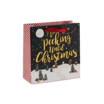 CGB Giftware 'No Peeking' Gift Bag
