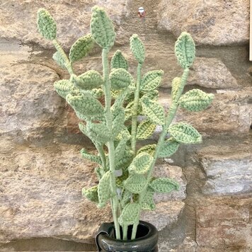 Heaven Sends Knitted Green Leaf Stem