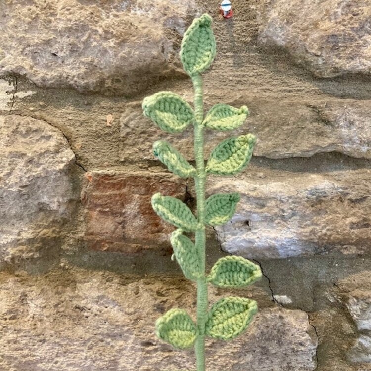 Heaven Sends Knitted Green Leaf Stem
