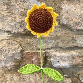 Heaven Sends Knitted Sunflower Stem
