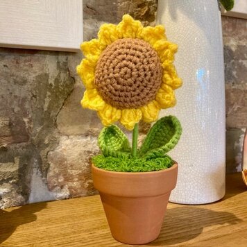 Heaven Sends Knitted Sunflower in Terracotta Pot