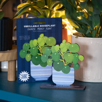 Dapple & Dot Money Plant Pop Out Card