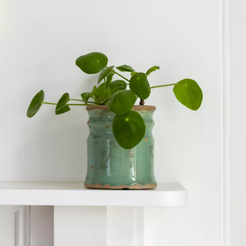Grand Illusions 'Samos' Glazed Vase- Turquoise