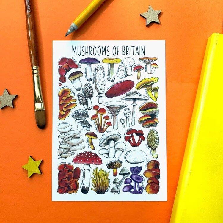Alexia Claire Wildlife Of Britain Postcard - Various Designs