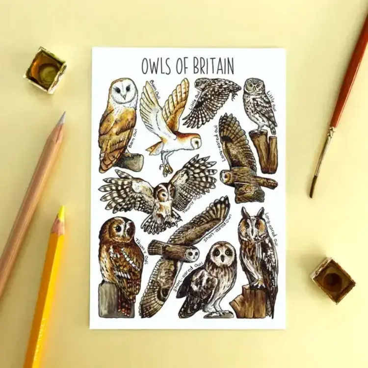 Alexia Claire Wildlife Of Britain Postcard - Various Designs