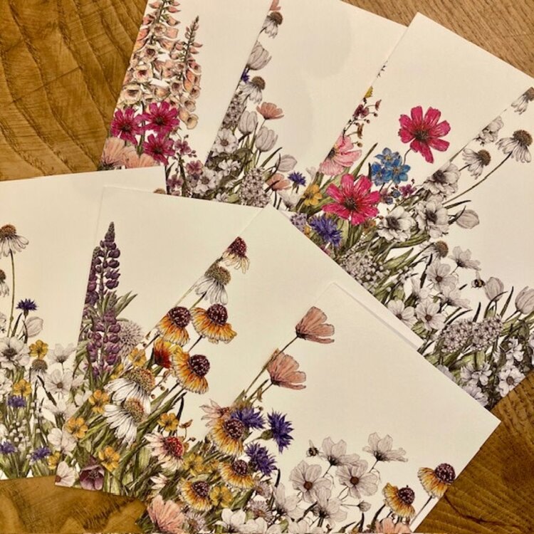 Toasted Crumpet Wildflower Meadows Set of 8 Notecards