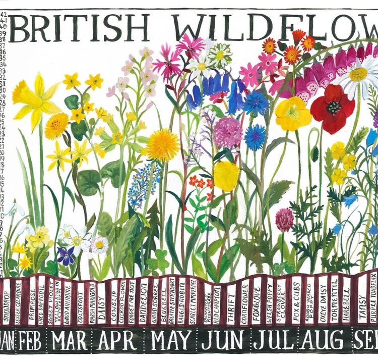 Driftwood Designs British Wildflowers Tea Towel