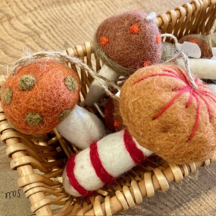 Felt So Good Handmade Felt Foraged Mushrooms-