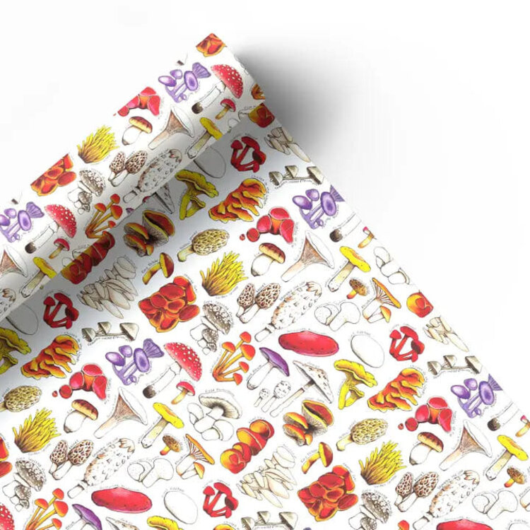 Alexia Claire Mushrooms Of Britain Gift Wrap