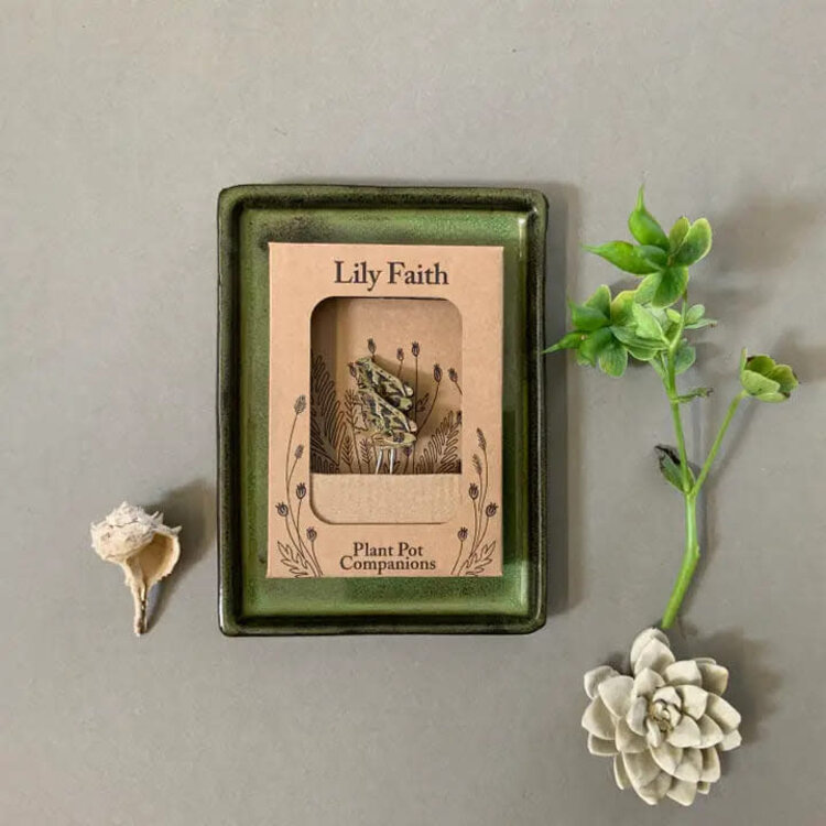 Lily Faith Plant Pot Companion- Frog
