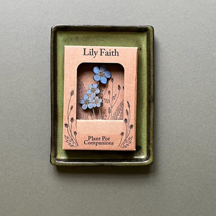 Lily Faith Plant Pot Companion- Forget Me Not