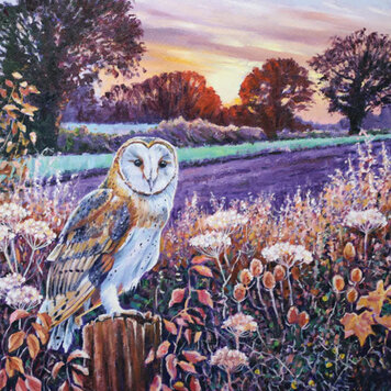 Green Pebble 'Barn Owl At Dawn' Card