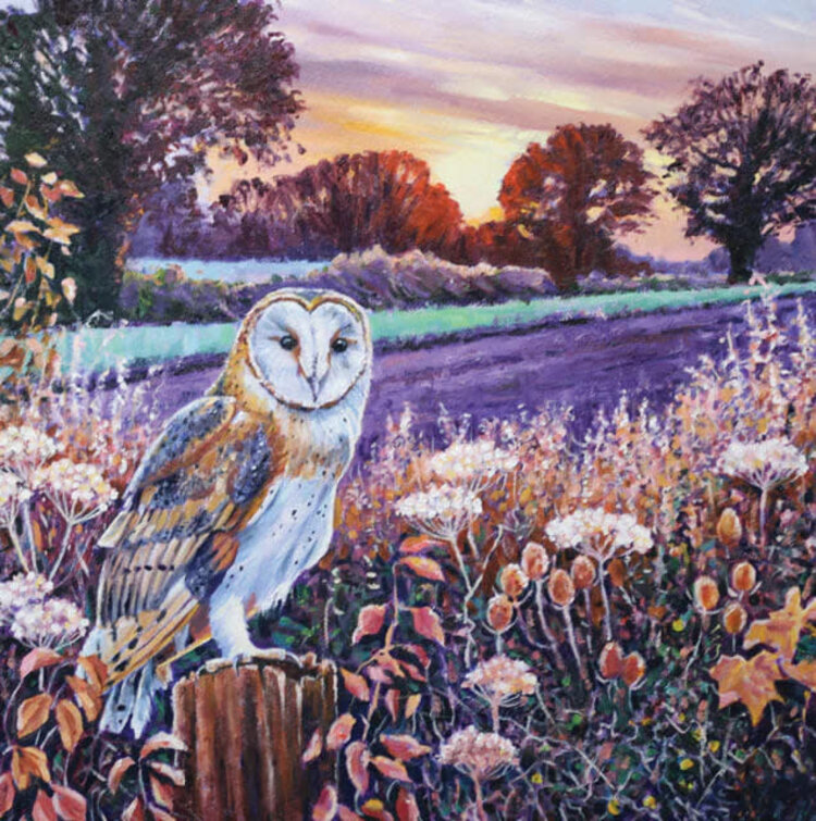 Green Pebble 'Barn Owl At Dawn' Card