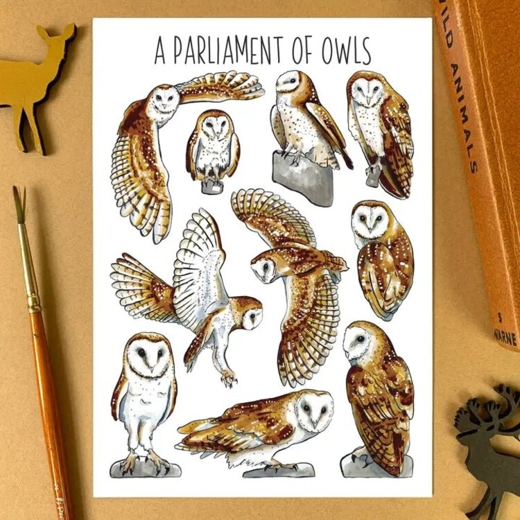 Alexia Claire 'Parliament of Owls' Wildlife Postcard