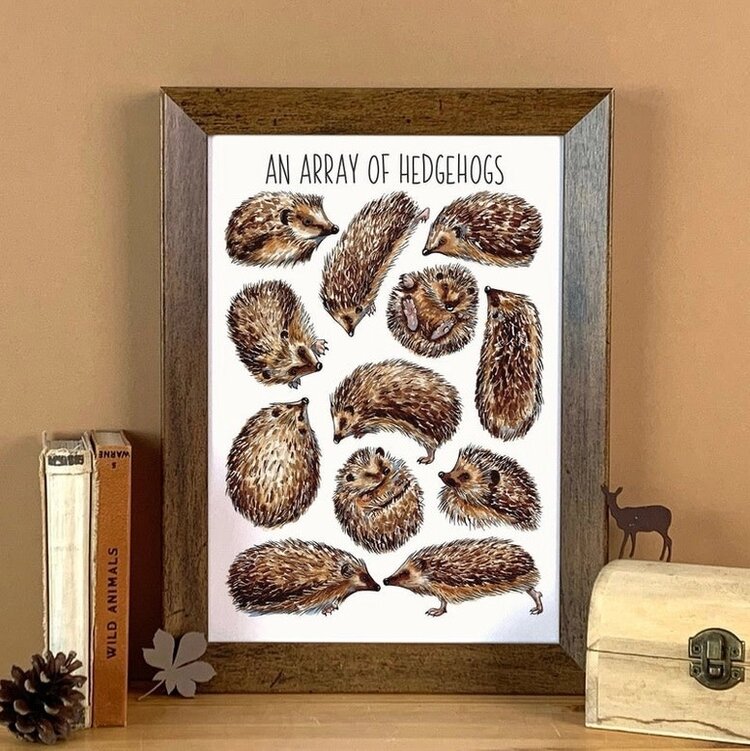 Alexia Claire 'Array of Hedgehogs' Wildlife Postcard