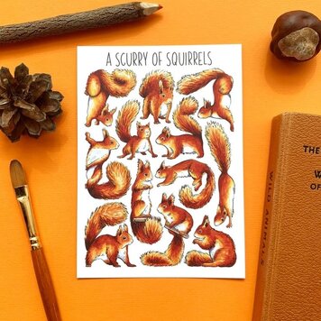 Alexia Claire 'Scurry of Squirrels' Wildlife Postcard