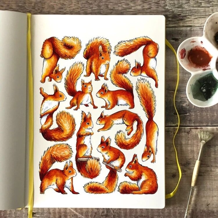 Alexia Claire 'Scurry of Squirrels' Wildlife Postcard