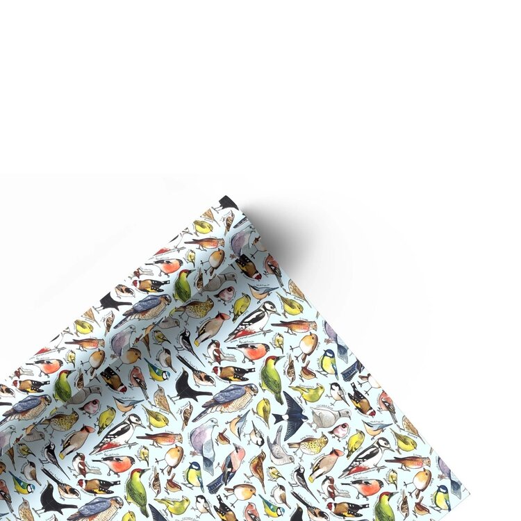 Alexia Claire Garden Birds of Britain Gift Wrap
