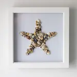 Annie Baxter Seashell Art