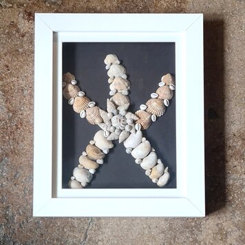 Annie Baxter 'Studland Starfish' Framed Seashells Original