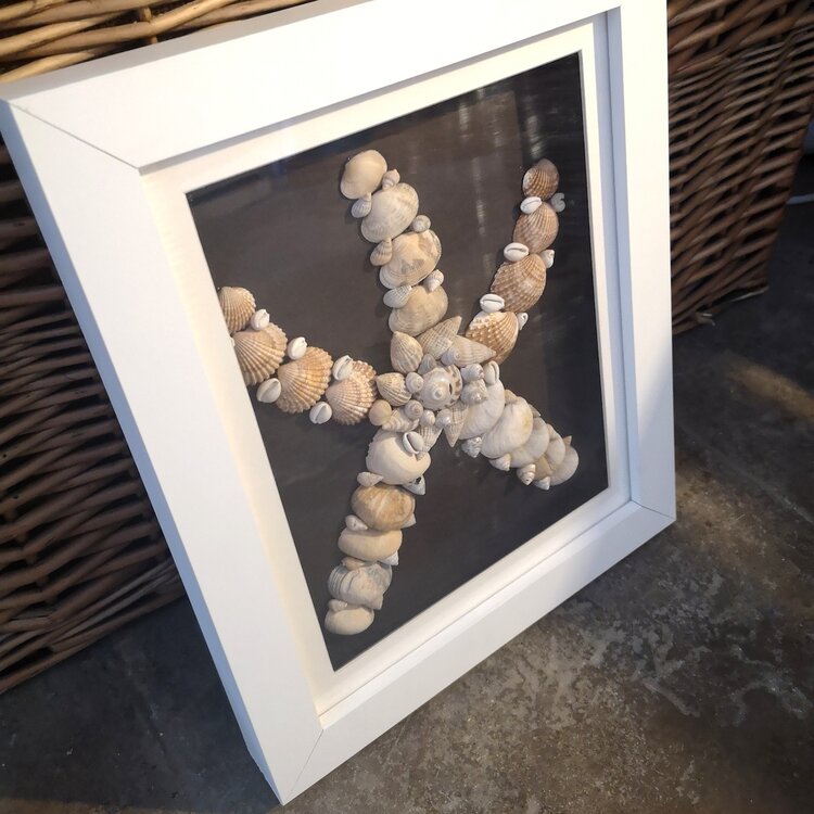 Annie Baxter 'Studland Starfish' Framed Seashells Original