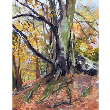 Judy Tate ‘Fractured’ Beech Woodland Pastel Print