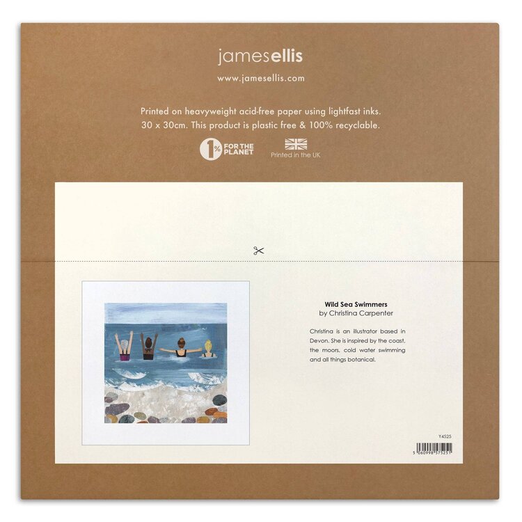 James Ellis 'Wild Sea Swimmers' Art Print