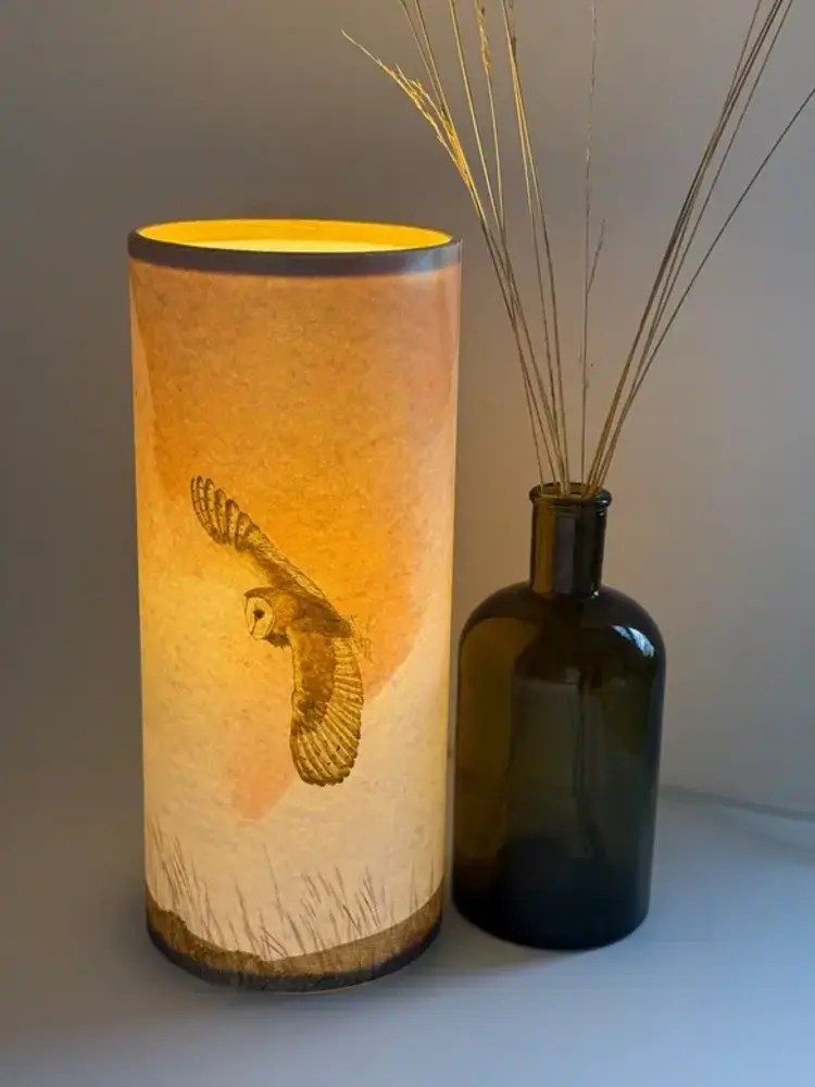 'Moorland Barn Owl' Handmade Table Lamp