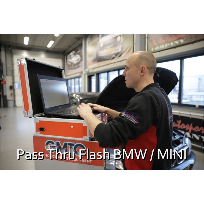 Pass Thru Flash BMW / Mini