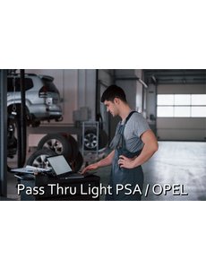  Pass Thru Light Peugeot/Citroën/DS/Opel