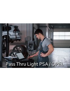  Pass Thru Light PSA / Opel