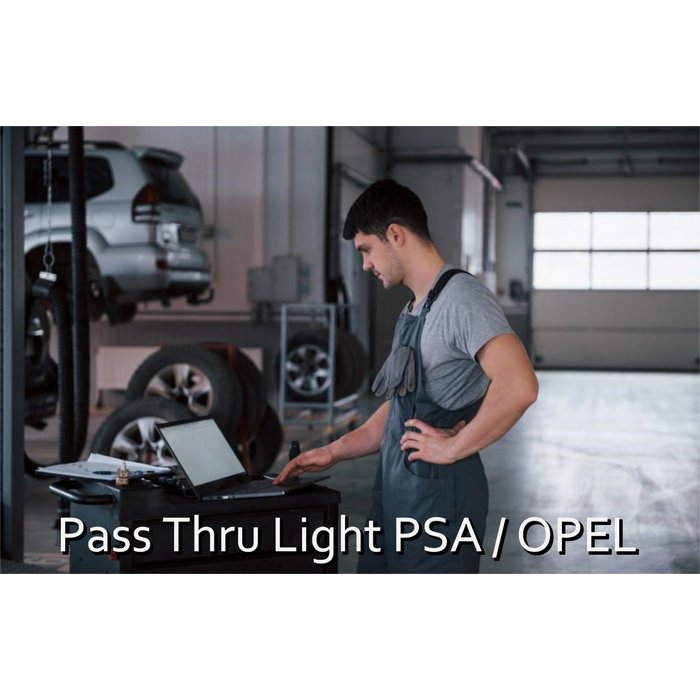 Pass Thru Light PSA / Opel