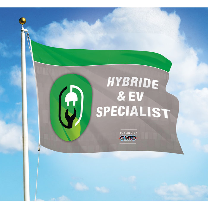 Vlag: Hybride & EV Specialist