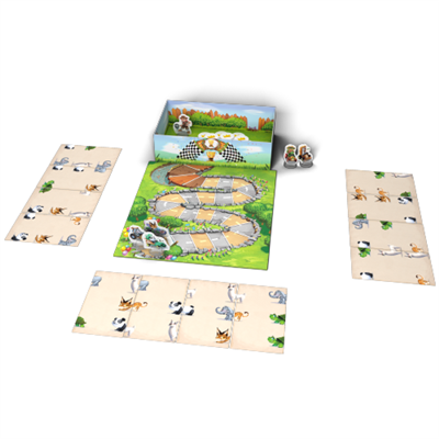 Zoo run