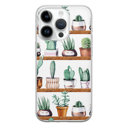 Cactus