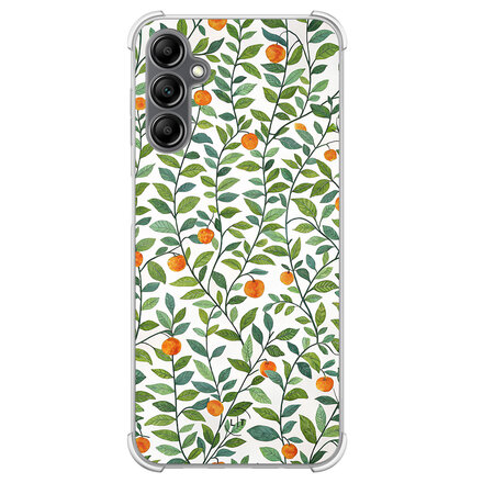 Orange garden