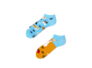 Many Mornings Playful Dog - LAAG by Many Mornings Playful Dog - LAAG by Many Mornings