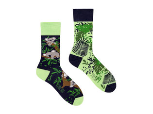 Koalas by Spox Sox